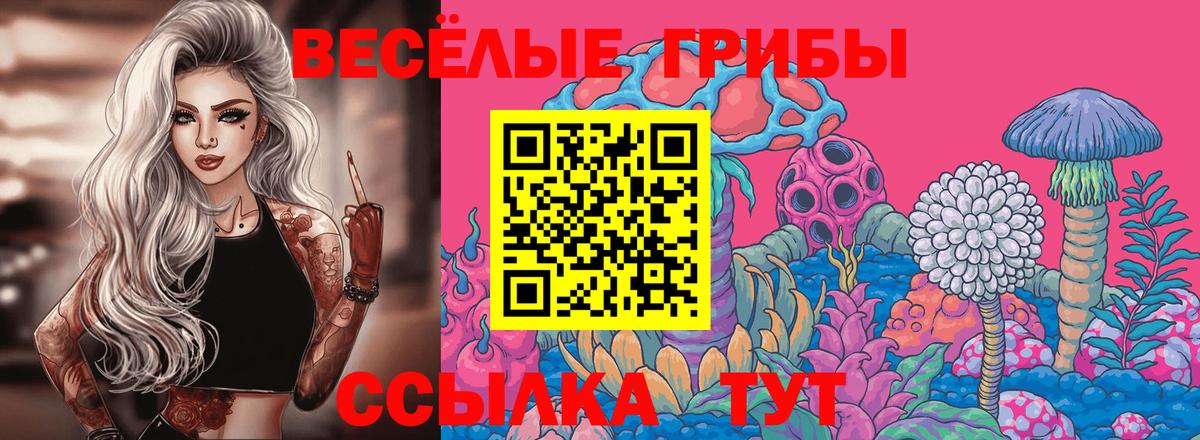 Галлюциногенные грибы прущие грибы Чайковский