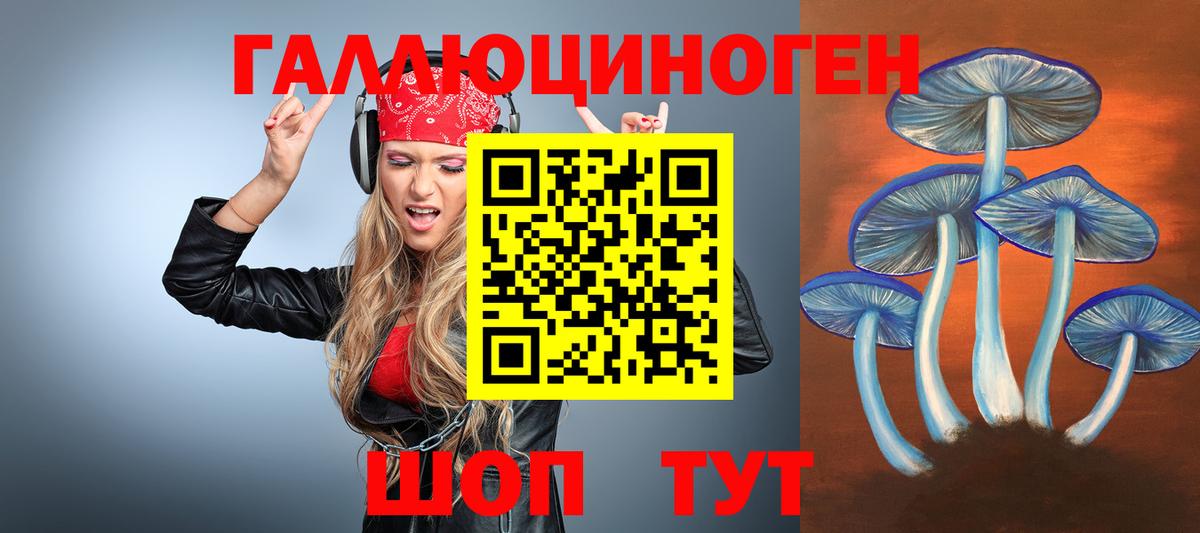 Чайковский  наркотики  Вход с VPN  Галлюциногенные грибы MAGIC MUSHROOMS 